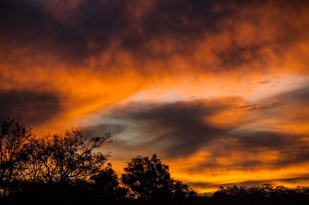 sunset, trees, night sky-420730.jpg